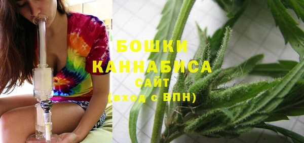 трава Иннополис