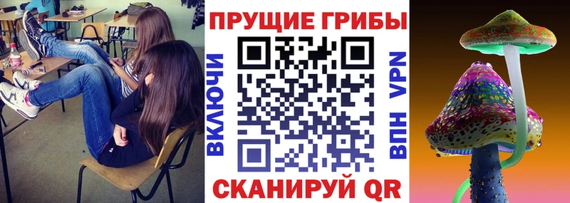 Галлюциногенные грибы GOLDEN TEACHER  Купить закладки  Билибино 